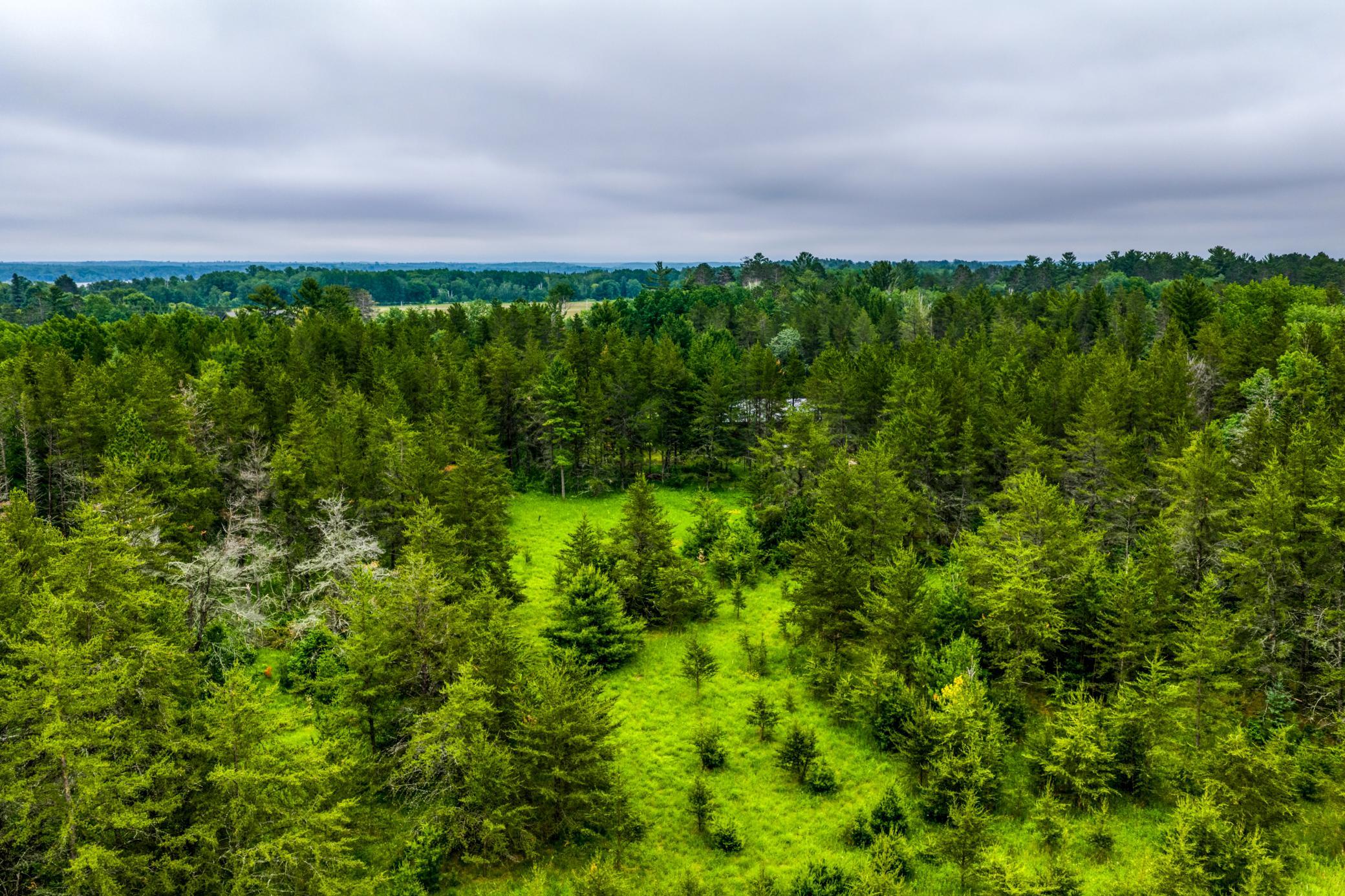 12891 Bemidji Road Northeast Bemidji, MN 56601 - Photo 50 of 99