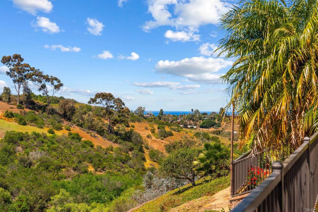 1393 Ranch Road Encinitas, CA 92024 - Photo 26 of 60