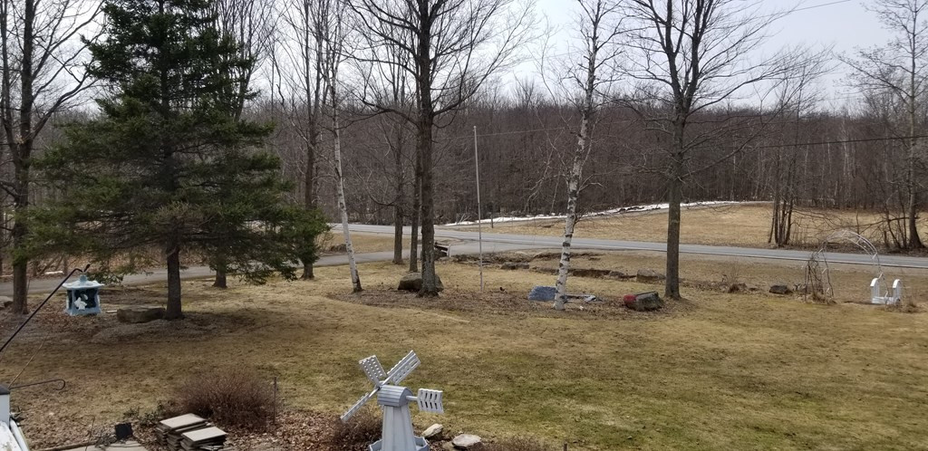 466 Brandy Brook Road Ellenburg Center, NY 12934 - Photo 39 of 54