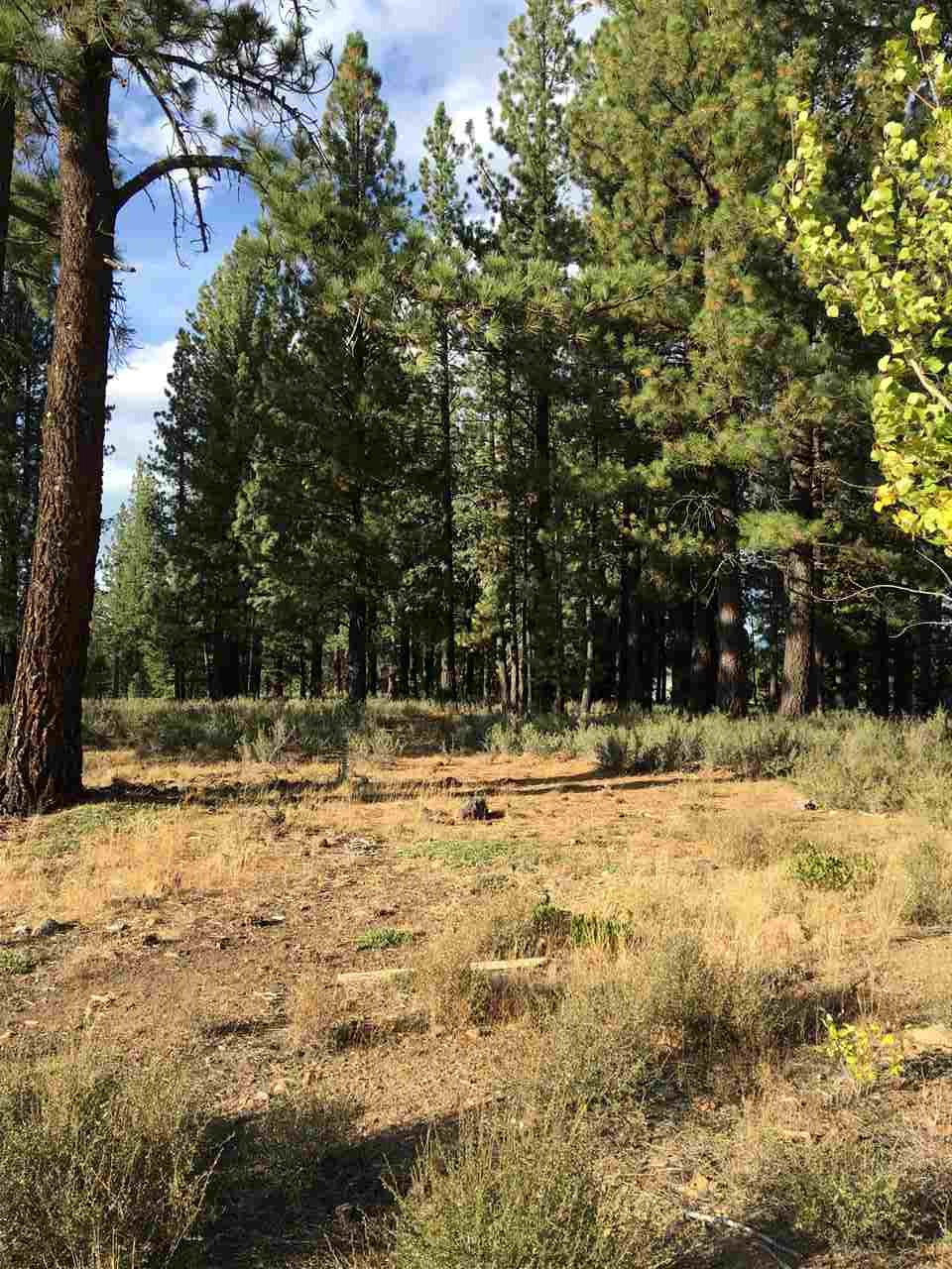 11000 Ghirard Road Truckee, CA 96161 - Photo 4 of 10