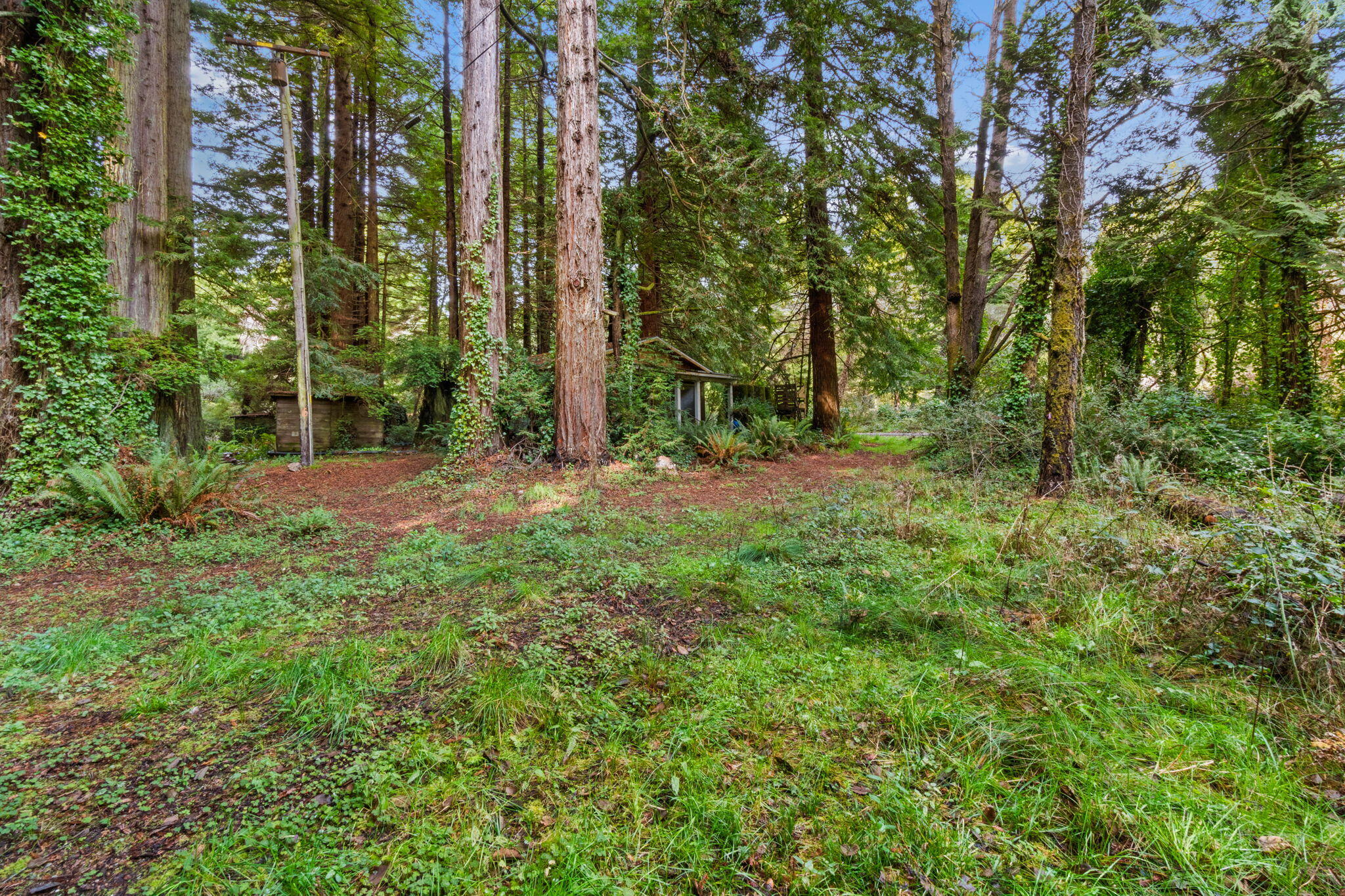 207 Lanford Road Trinidad, CA 95570 - Photo 14 of 16 14-web-or-mls-DSC08251_1