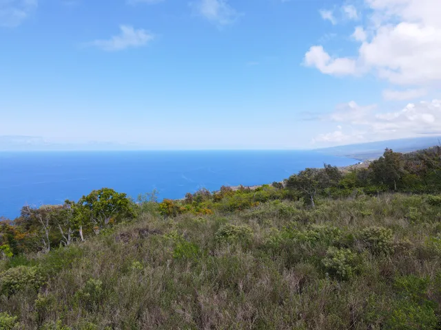 a view of a city and mountain in the distance in a background