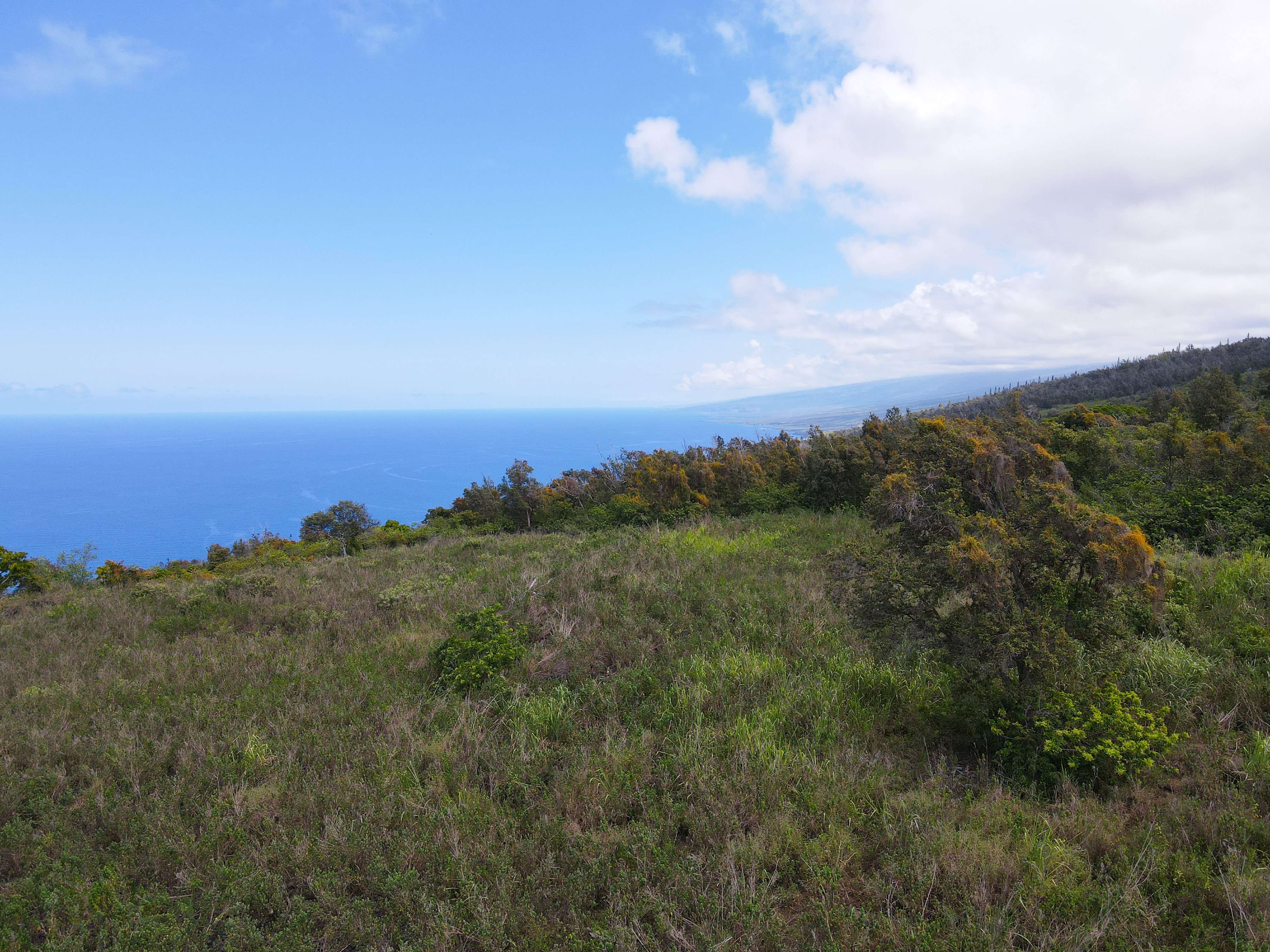 87-451 Lot 3 Ahe Kolo Place Captain Cook, HI 96704 - Photo 4 of 12