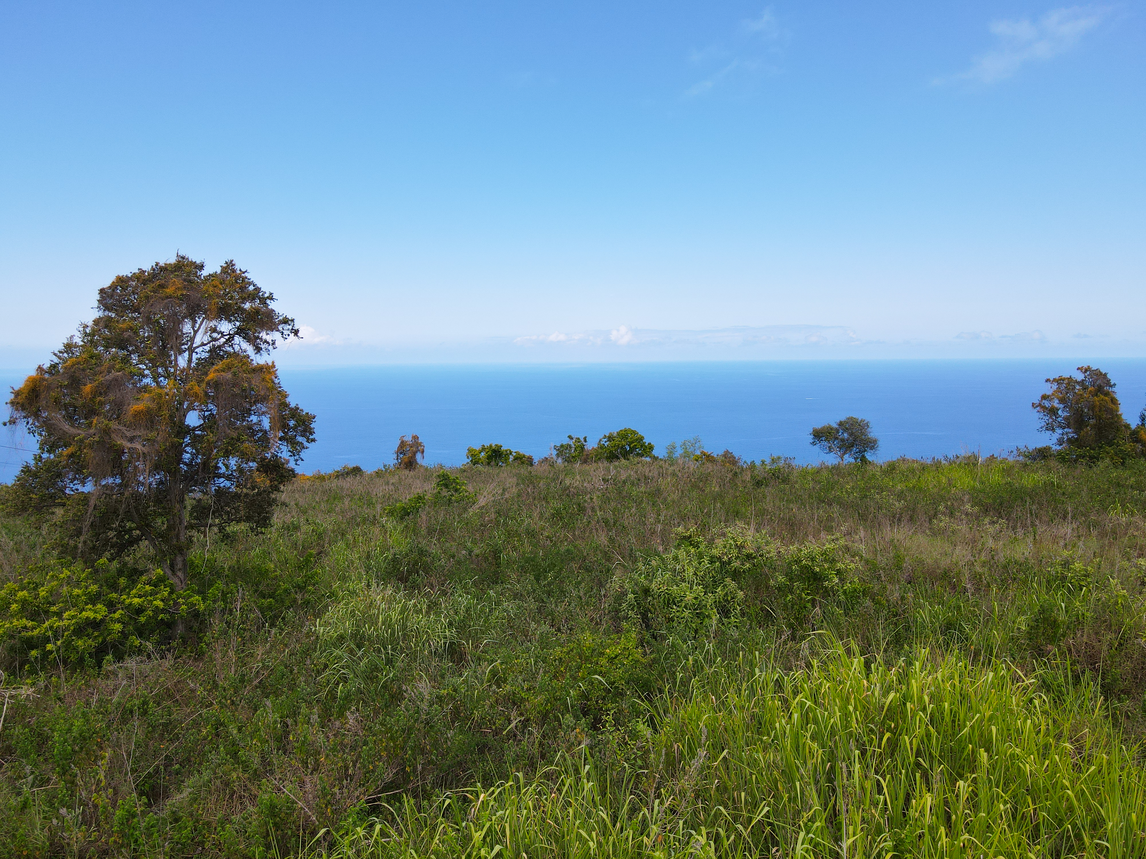 87-451 Lot 3 Ahe Kolo Place Captain Cook, HI 96704 - Photo 5 of 12