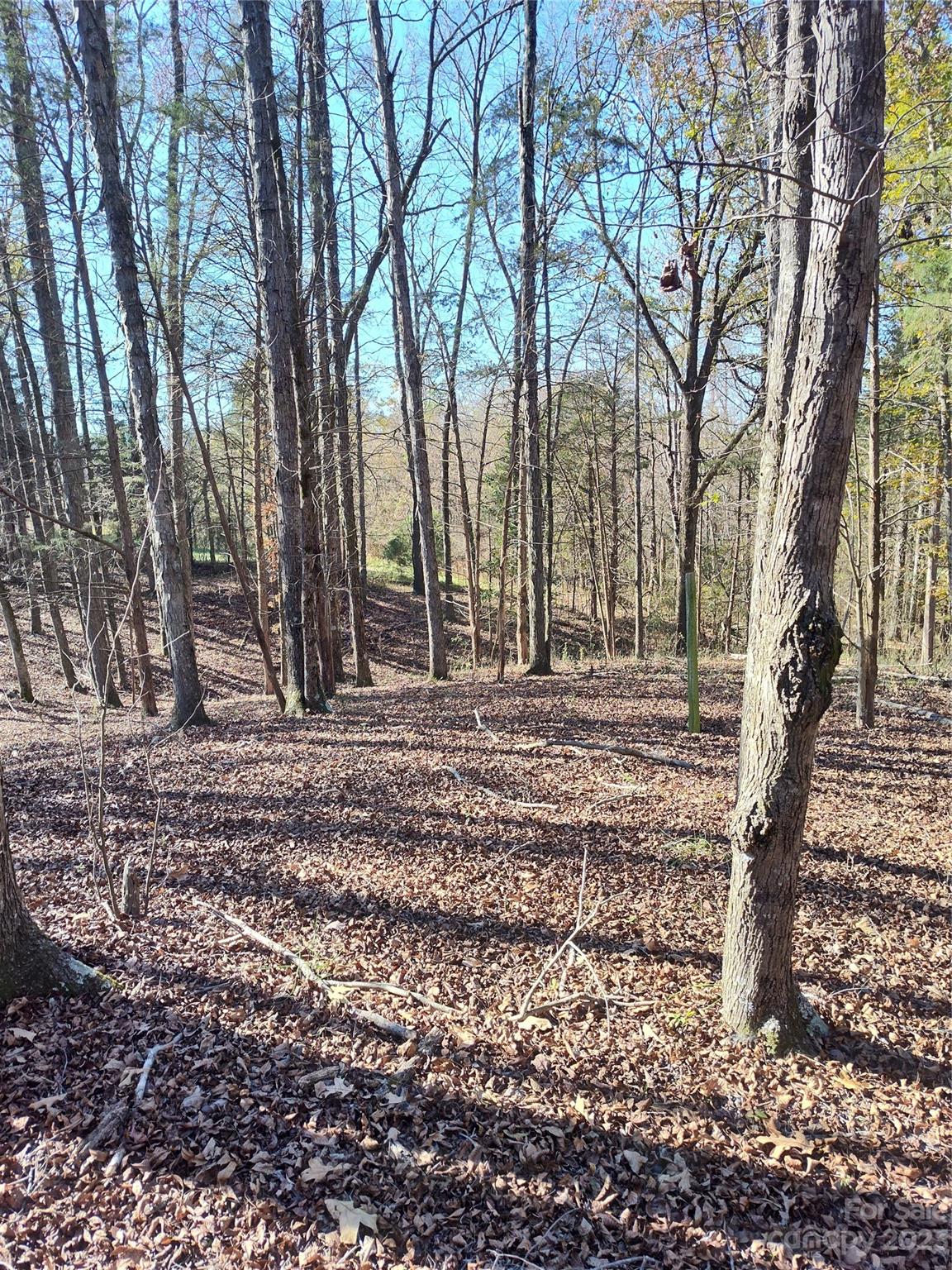 4291 Miami Church Road Concord, NC 28025 - Photo 17 of 19 Gallery Image 17