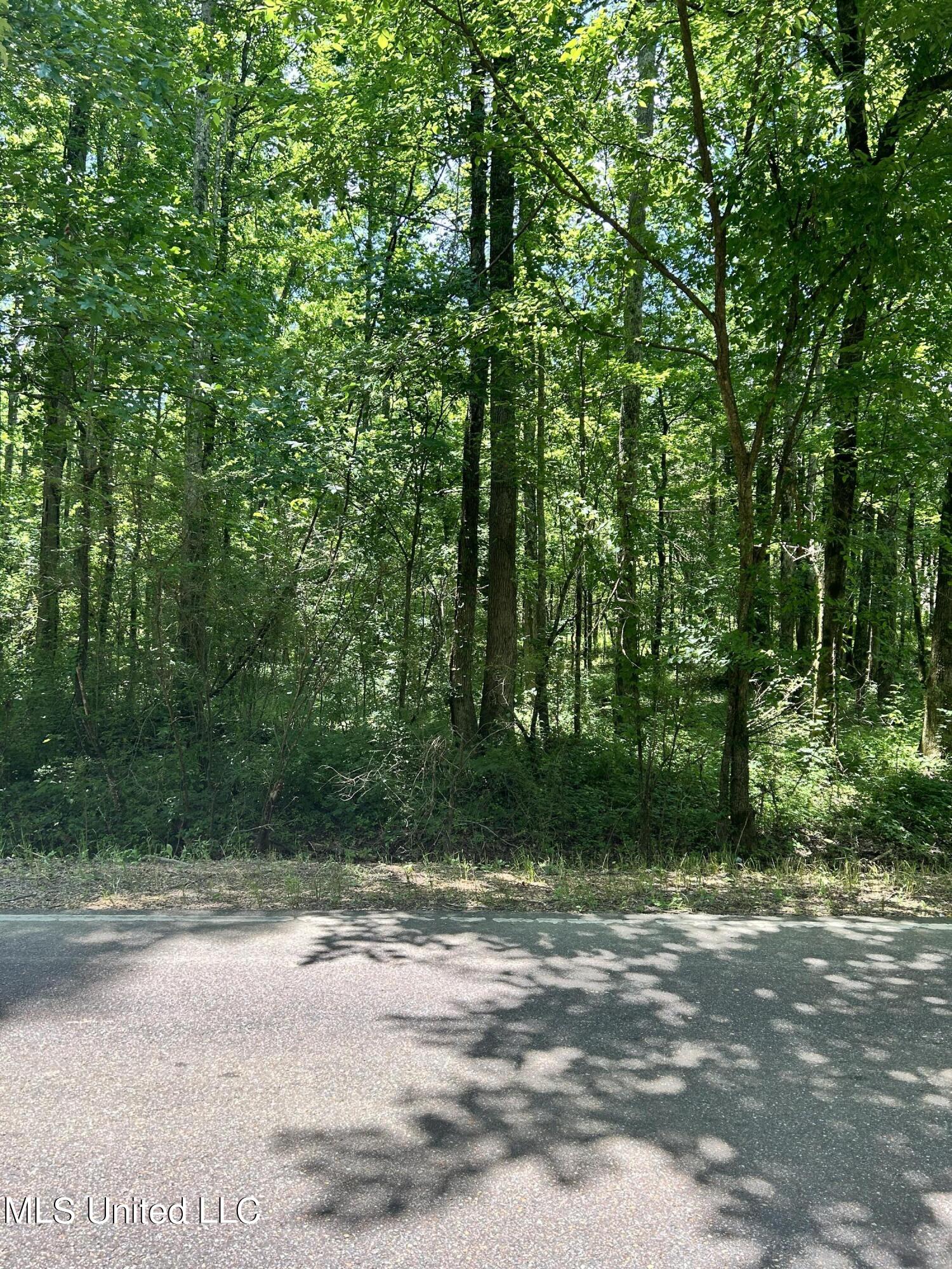 11249 Byhalia Road Byhalia, MS 38611 - Photo 1 of 3 IMG_6456