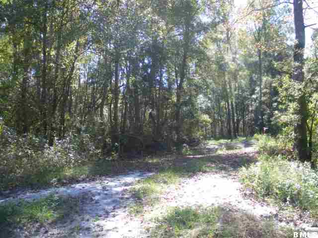 Tbd Chickadee Street Ridgeland, SC 29936 - Photo 1 of 1 Primary Photo