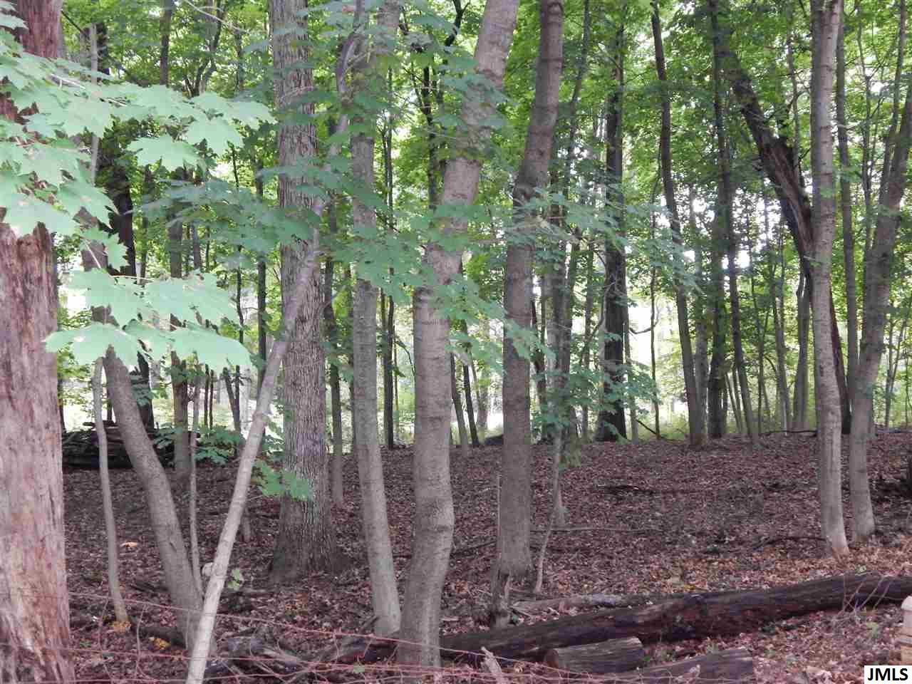 2515 Horton Road Jackson, MI 49203 - Photo 32 of 35 Photo 32