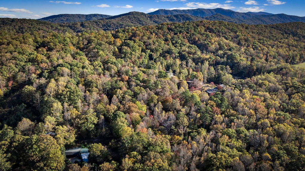 264 Circle Drive Blue Ridge, GA 30513 - Photo 13 of 62 Gallery Image 13
