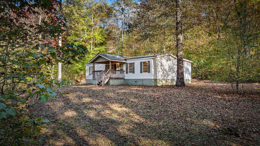 264 Circle Drive Blue Ridge, GA 30513 - Photo 3 of 62 Gallery Image 3