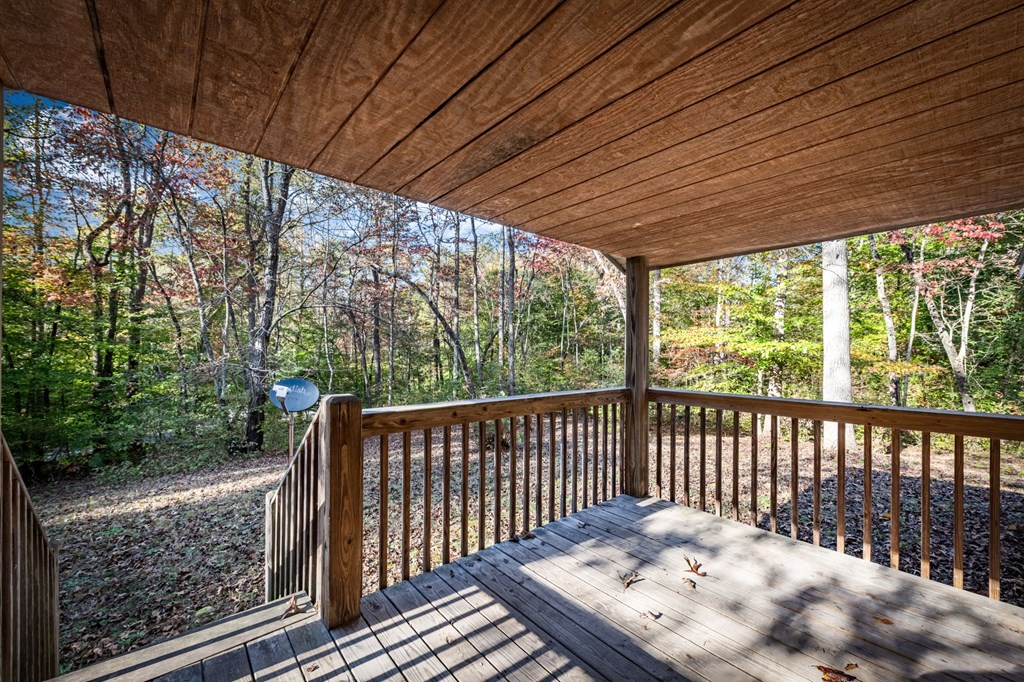 264 Circle Drive Blue Ridge, GA 30513 - Photo 54 of 62 Gallery Image 54