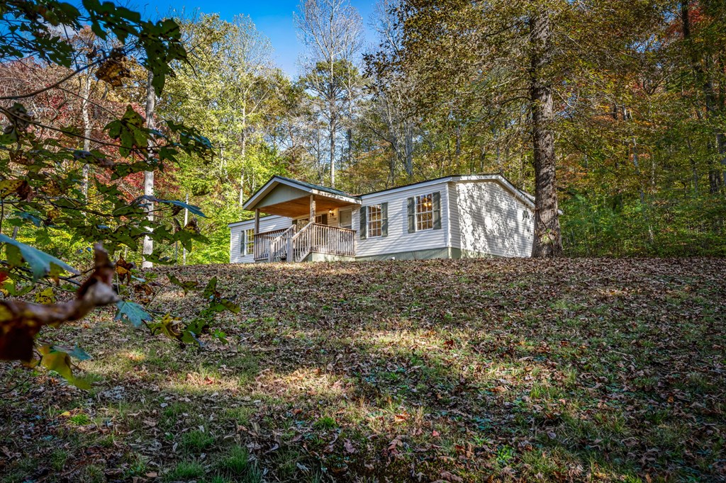264 Circle Drive Blue Ridge, GA 30513 - Photo 57 of 62 Gallery Image 57