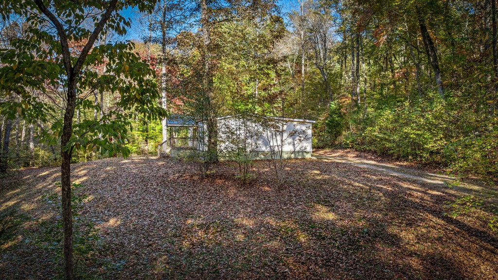 264 Circle Drive Blue Ridge, GA 30513 - Photo 8 of 62 Gallery Image 8
