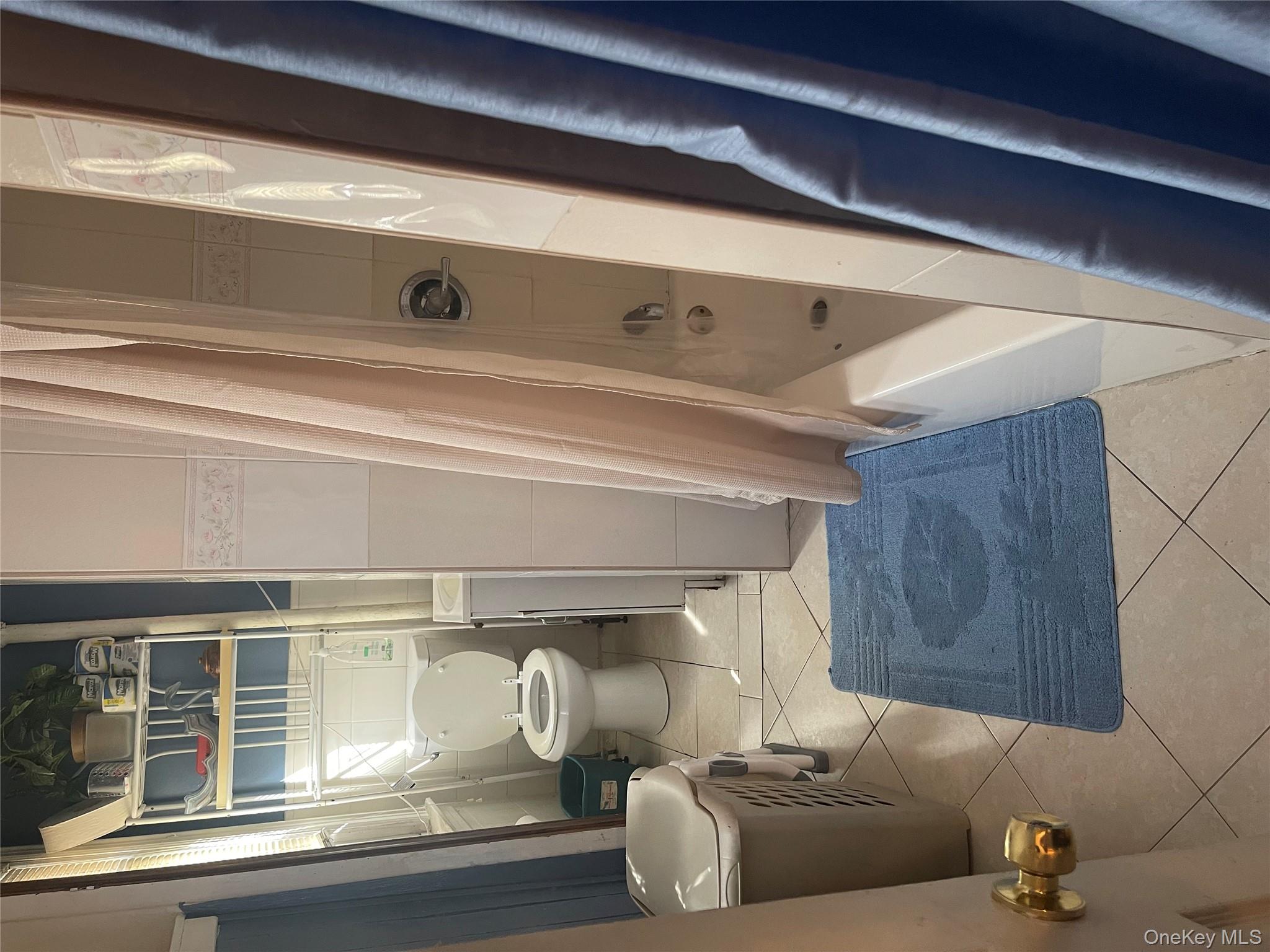 197-13 118th Avenue Queens, NY 11412 - Photo 5 of 5 a bathroom with a toilet and a shower