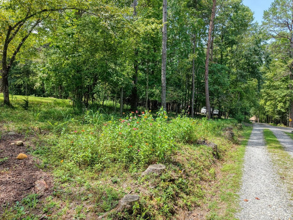 42 Starry Night Path Murphy, NC 28906 - Photo 49 of 56 Gallery Image 49