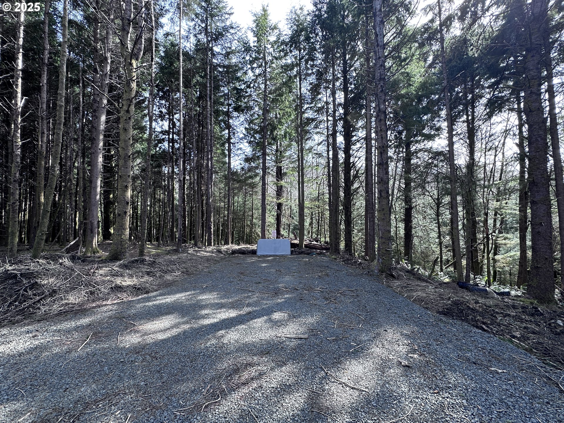 a view of outdoor space with trees