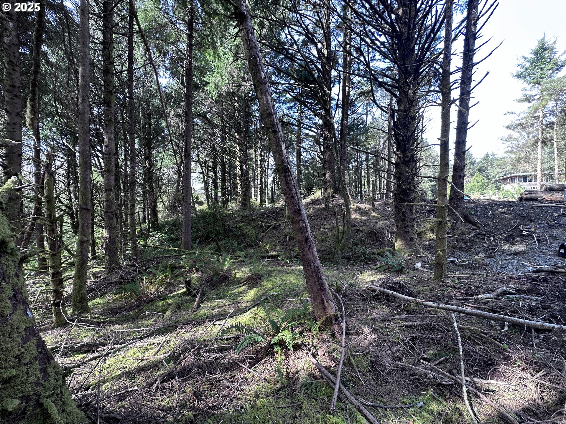 Greenleaf Road Arch Cape, OR 97102 - Photo 4 of 11