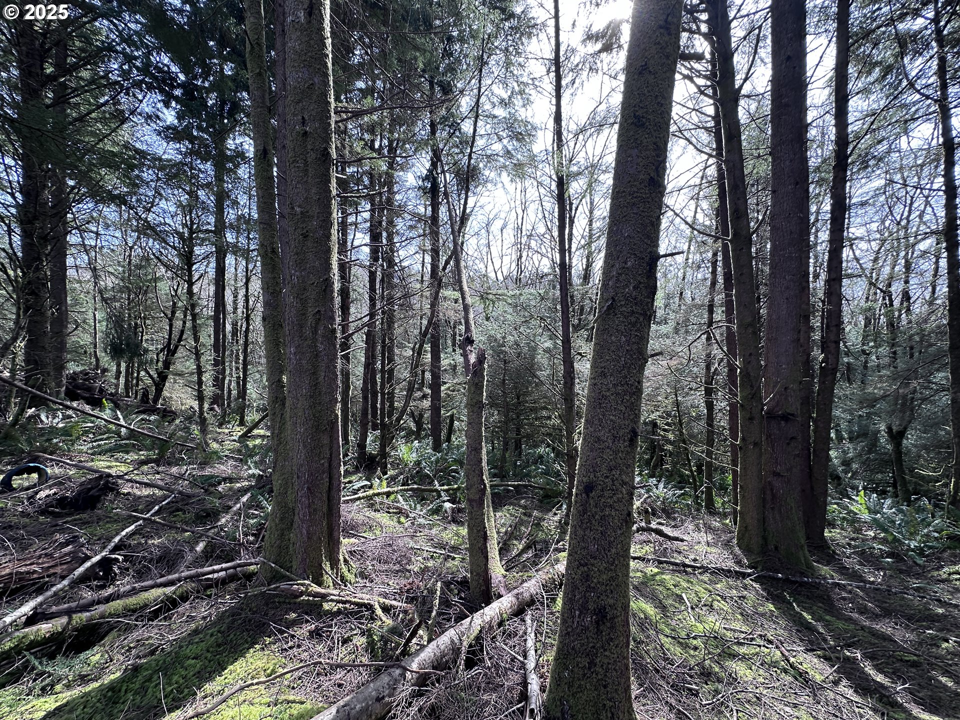Greenleaf Road Arch Cape, OR 97102 - Photo 5 of 11