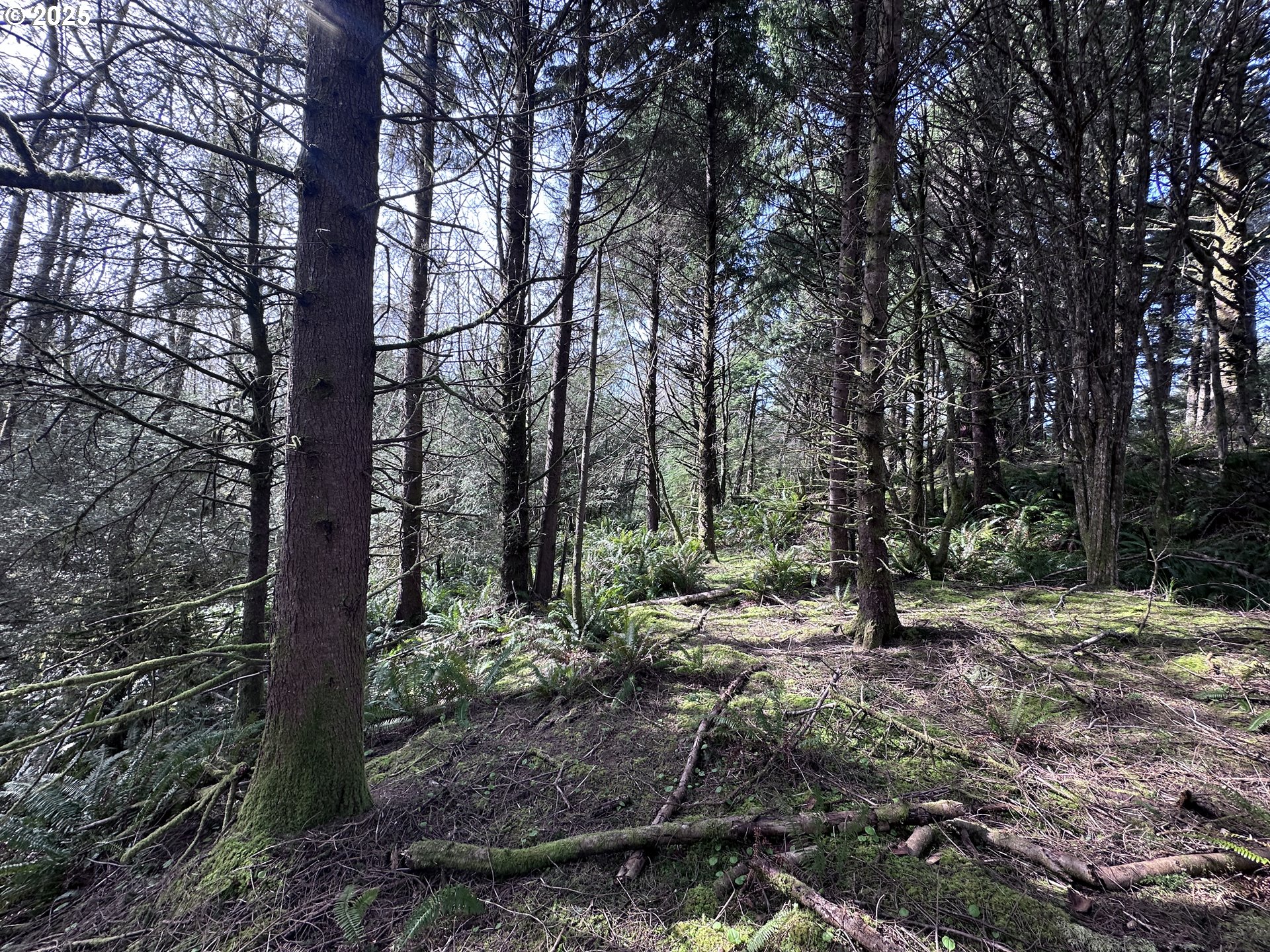 Greenleaf Road Arch Cape, OR 97102 - Photo 6 of 11