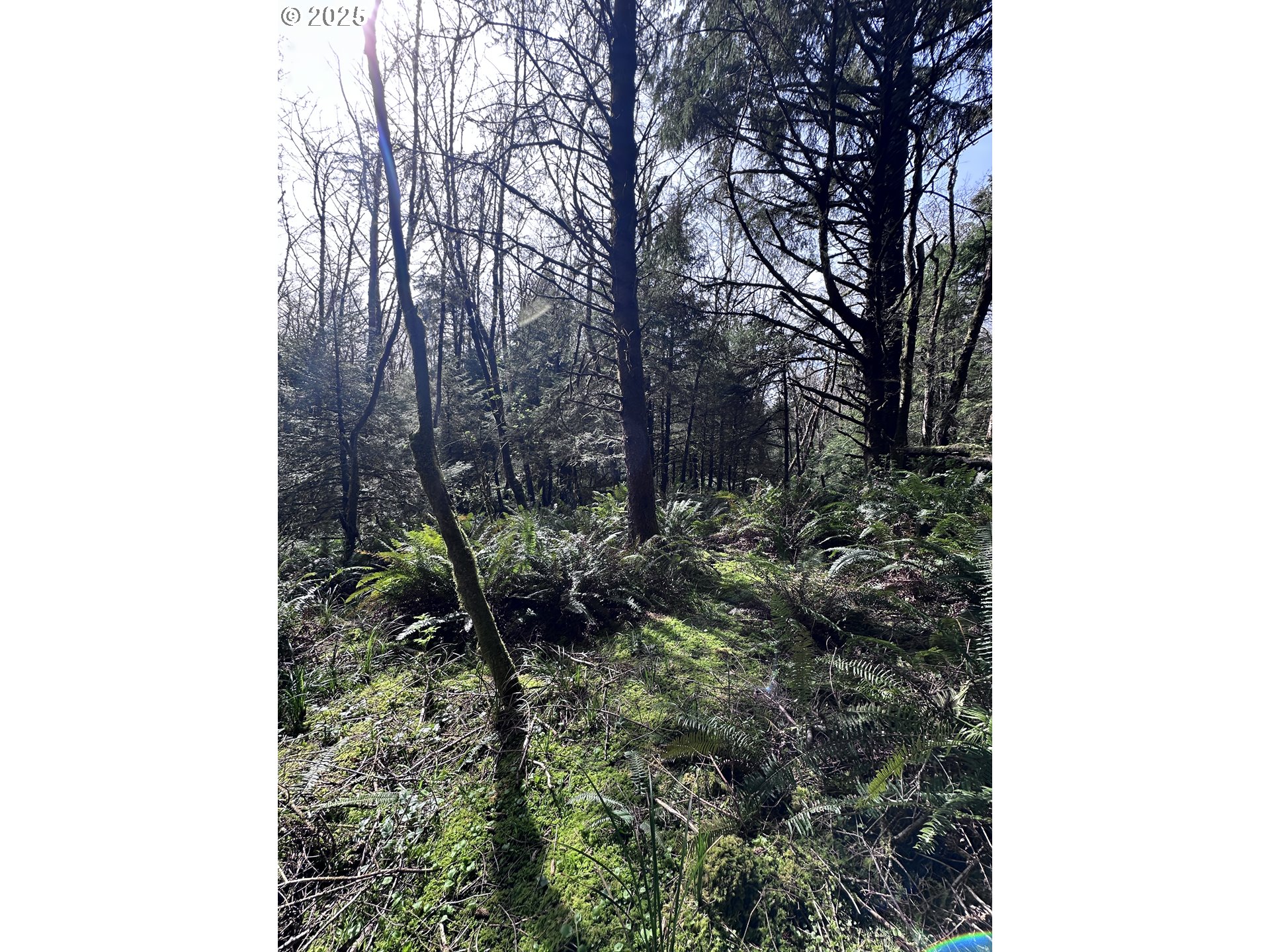 Greenleaf Road Arch Cape, OR 97102 - Photo 7 of 11