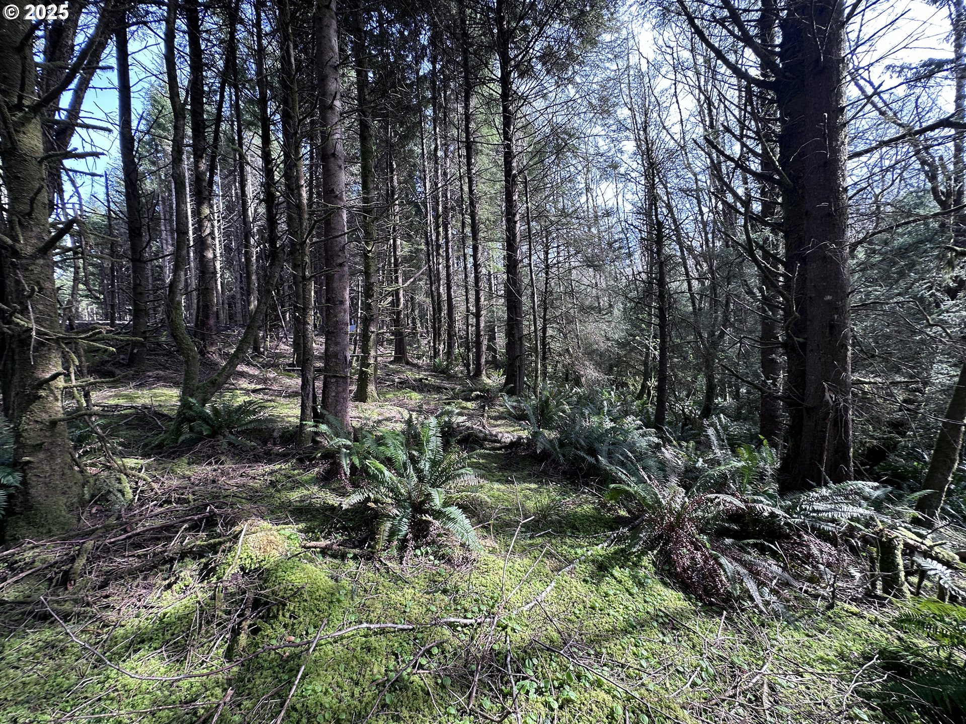 Greenleaf Road Arch Cape, OR 97102 - Photo 8 of 11