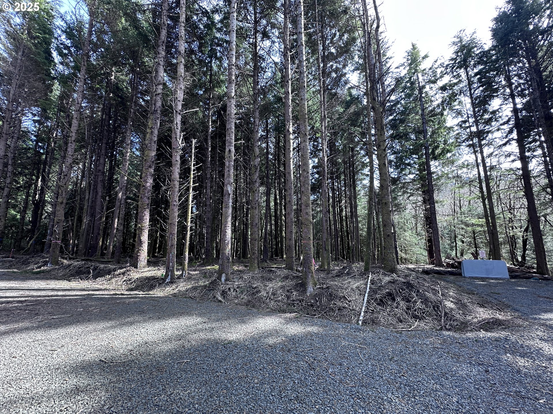 Greenleaf Road Arch Cape, OR 97102 - Photo 10 of 11