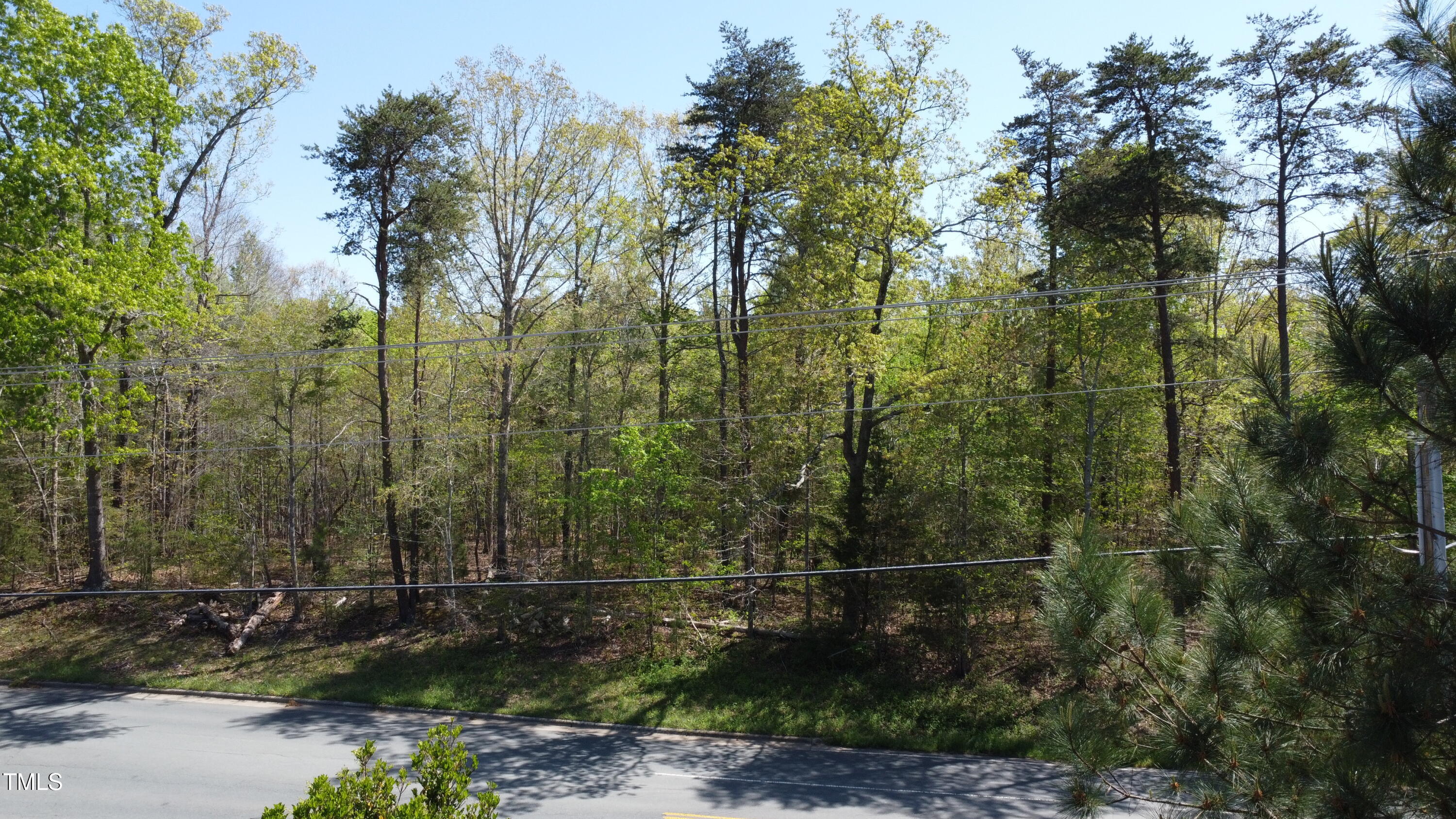 0 Old Hillsborough Road Mebane, NC 27302 - Photo 3 of 10 Land 3