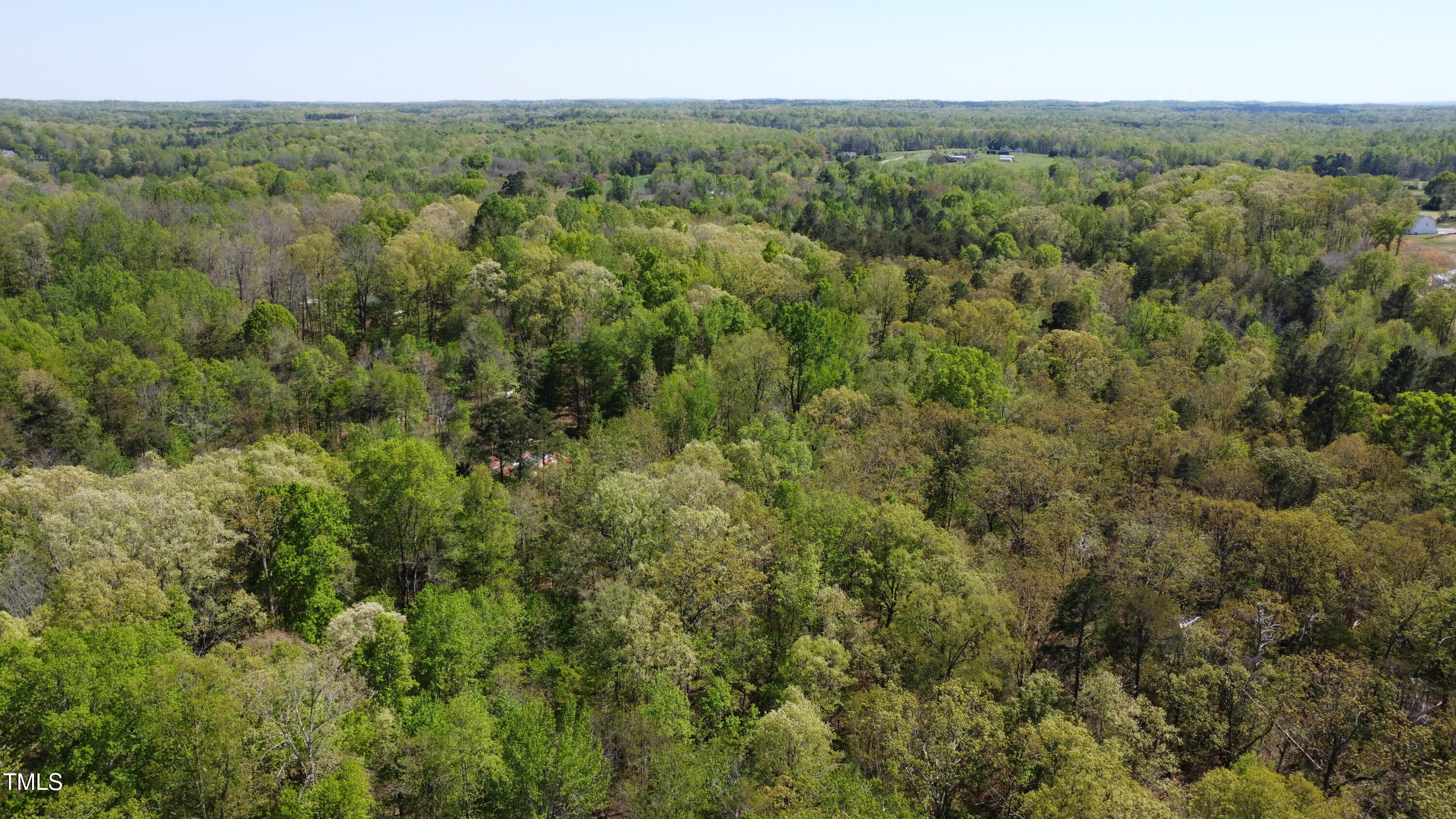 0 Old Hillsborough Road Mebane, NC 27302 - Photo 6 of 10 Land 6
