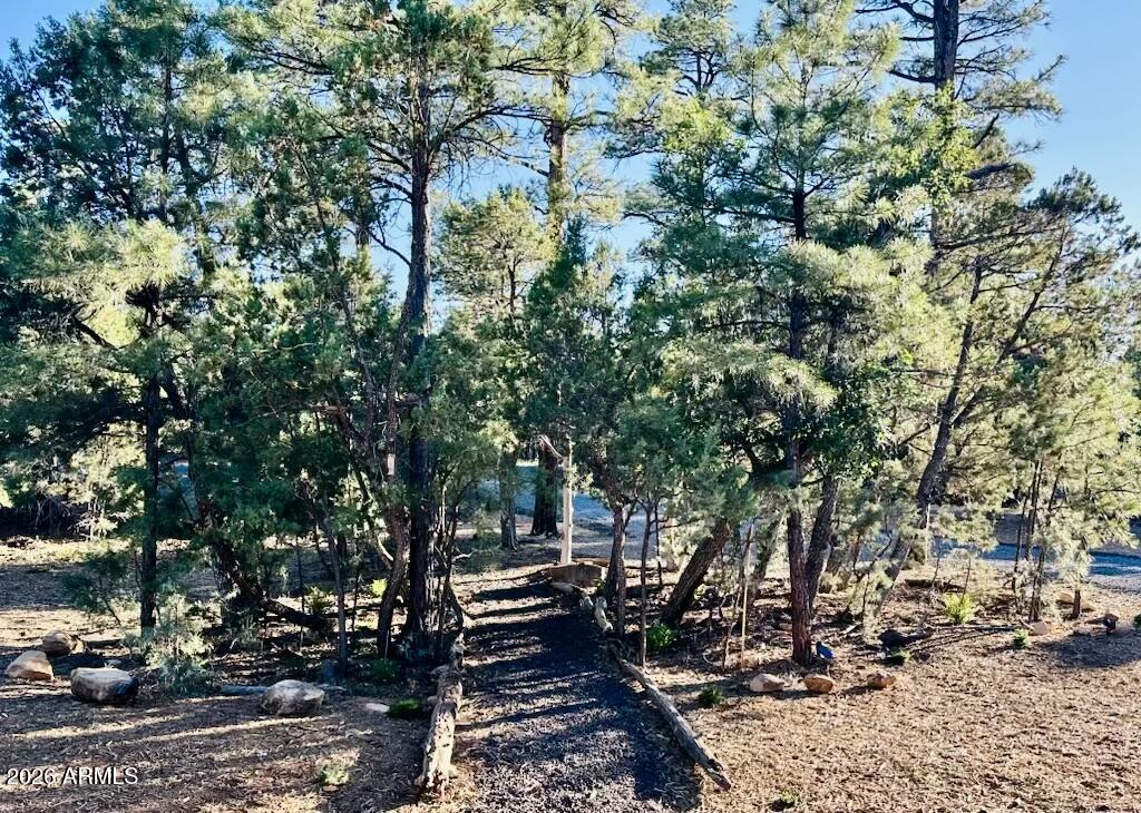 4260 West Falling Leaf Road Show Low, AZ 85901 - Photo 30 of 32 a backyard of a house with lots of green space