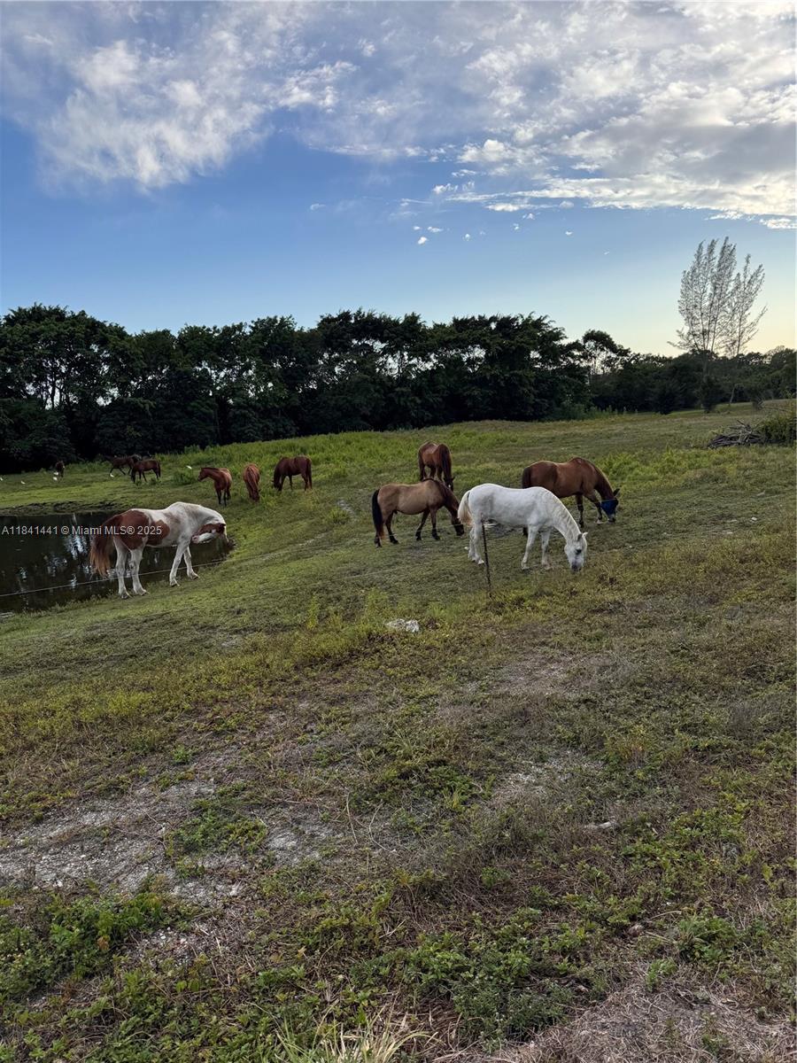 3311 Southwest 118th Terrace Davie, FL 33330 - Photo 90 of 95 a view of a lake with houses in back