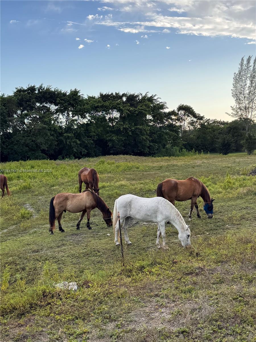 3311 Southwest 118th Terrace Davie, FL 33330 - Photo 91 of 95