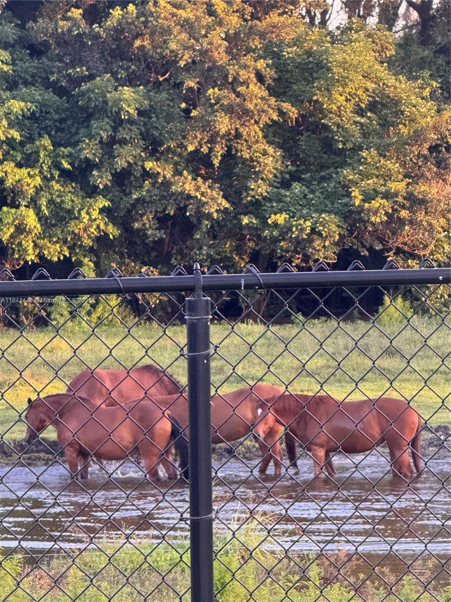 3311 Southwest 118th Terrace Davie, FL 33330 - Photo 92 of 95 a view of a yard and a tree