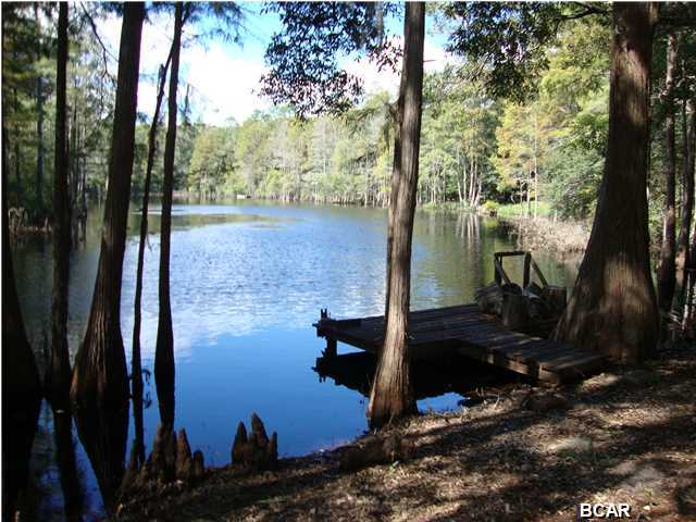 2649 Country Road Chipley, FL 32428 - Photo 4 of 24 Gallery Image 4
