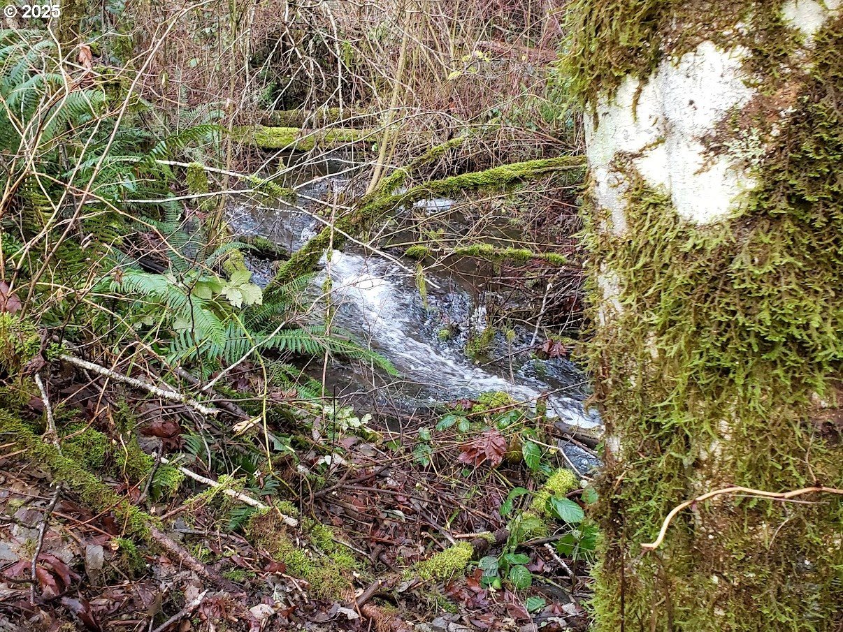 122 Winter Creek Road Stevenson, WA 98648 - Photo 26 of 27