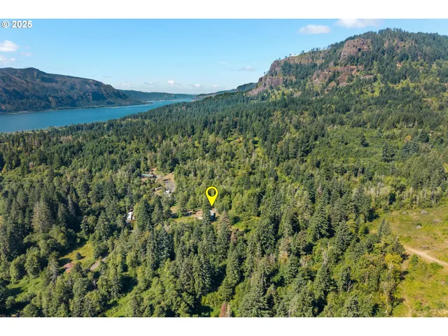 a view of a lush green forest with trees and mountains