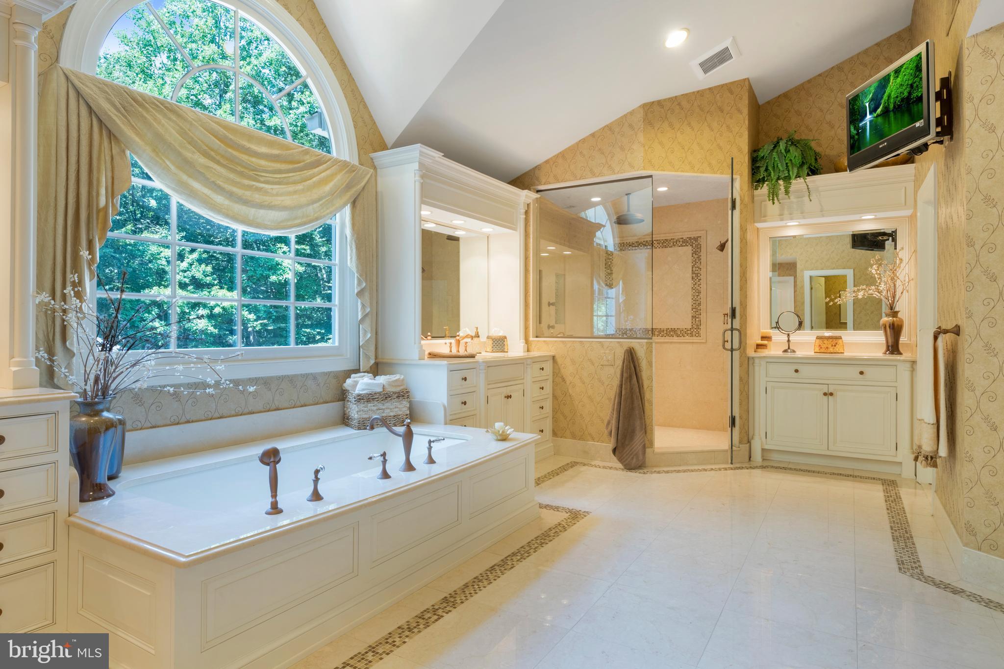 201 Morning Cloak Row Edgewater, MD 21037 - Photo 42 of 75 Soaking tub, oversized steam shower w/ bench seat