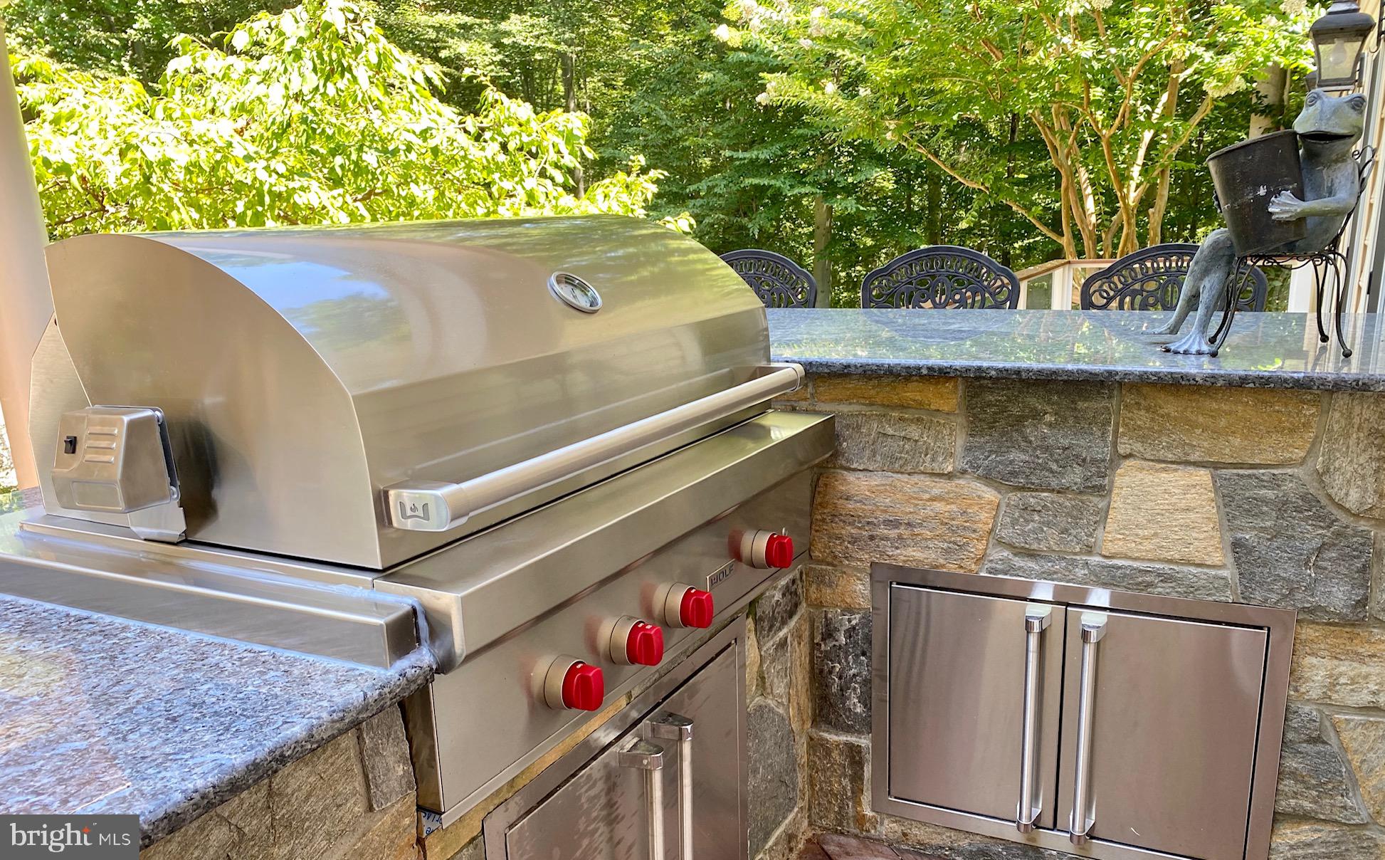201 Morning Cloak Row Edgewater, MD 21037 - Photo 6 of 75 BRAND NEW Wolf gas grill built on blue stone