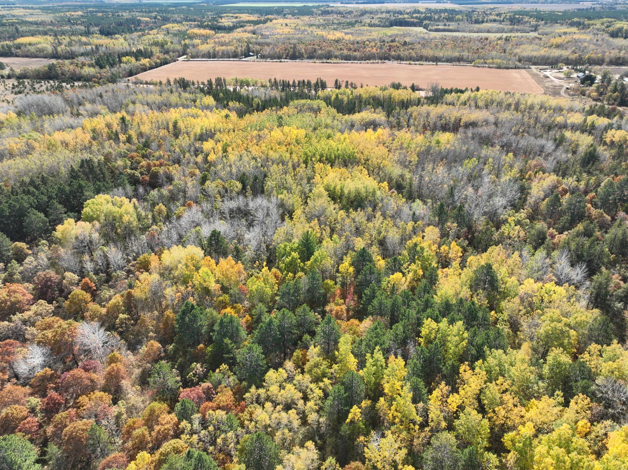 Tbd 170th Street Akeley, MN 56433 - Photo 1 of 1