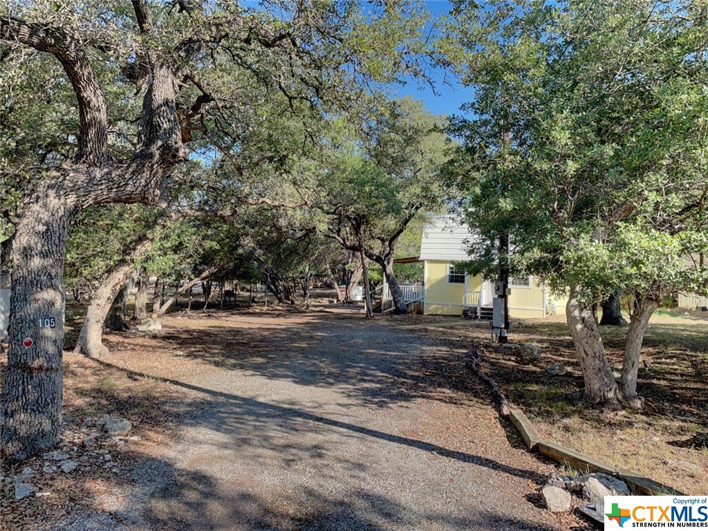 105 Remuda Run Wimberley, TX 78676 - Photo 1 of 1 a view of a yard with plants and trees