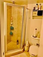a bathroom with a shower and toilet
