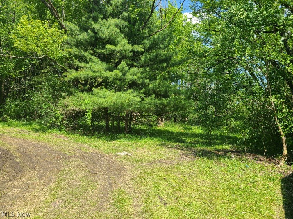 3620 Biltz Road Kent, OH 44240 - Photo 19 of 23