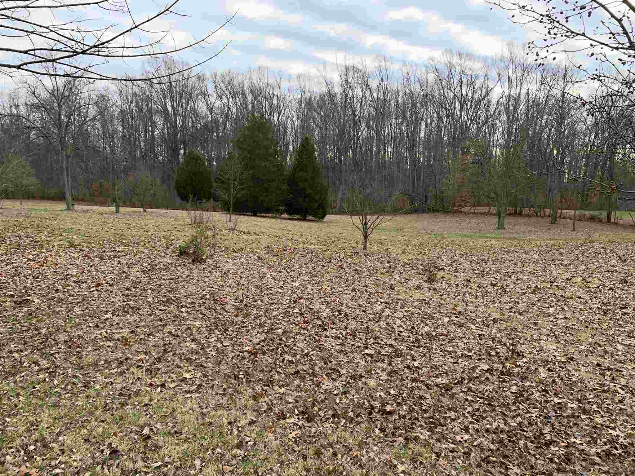88 Trogdon Lane Springville, IN 47462 - Photo 15 of 20 Gallery Image 15