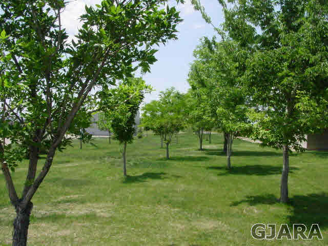 1233 Signal Rock Road Grand Junction, CO 81505 - Photo 4 of 13 Gallery Image 4