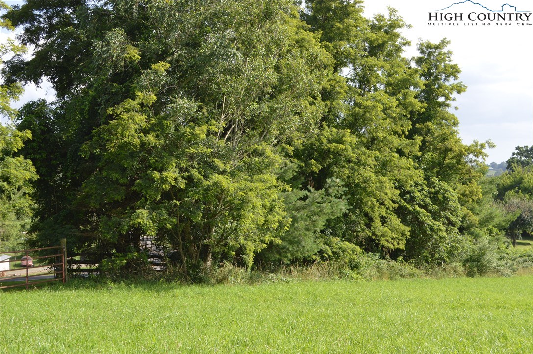 2 C Lazy Branch Road Ennice, NC 28623 - Photo 11 of 16 Gallery Image 11
