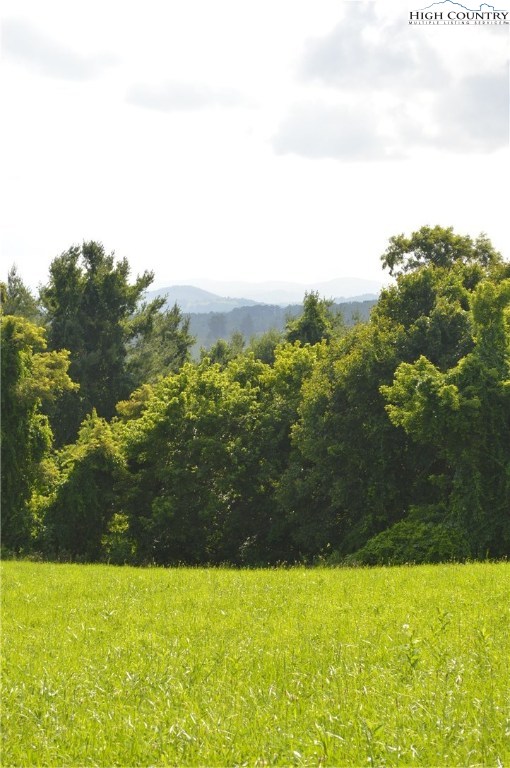 2 C Lazy Branch Road Ennice, NC 28623 - Photo 12 of 16 Gallery Image 12