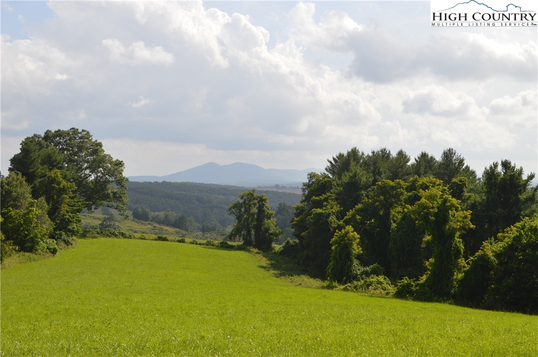 2 C Lazy Branch Road Ennice, NC 28623 - Photo 10 of 16 Gallery Image 10