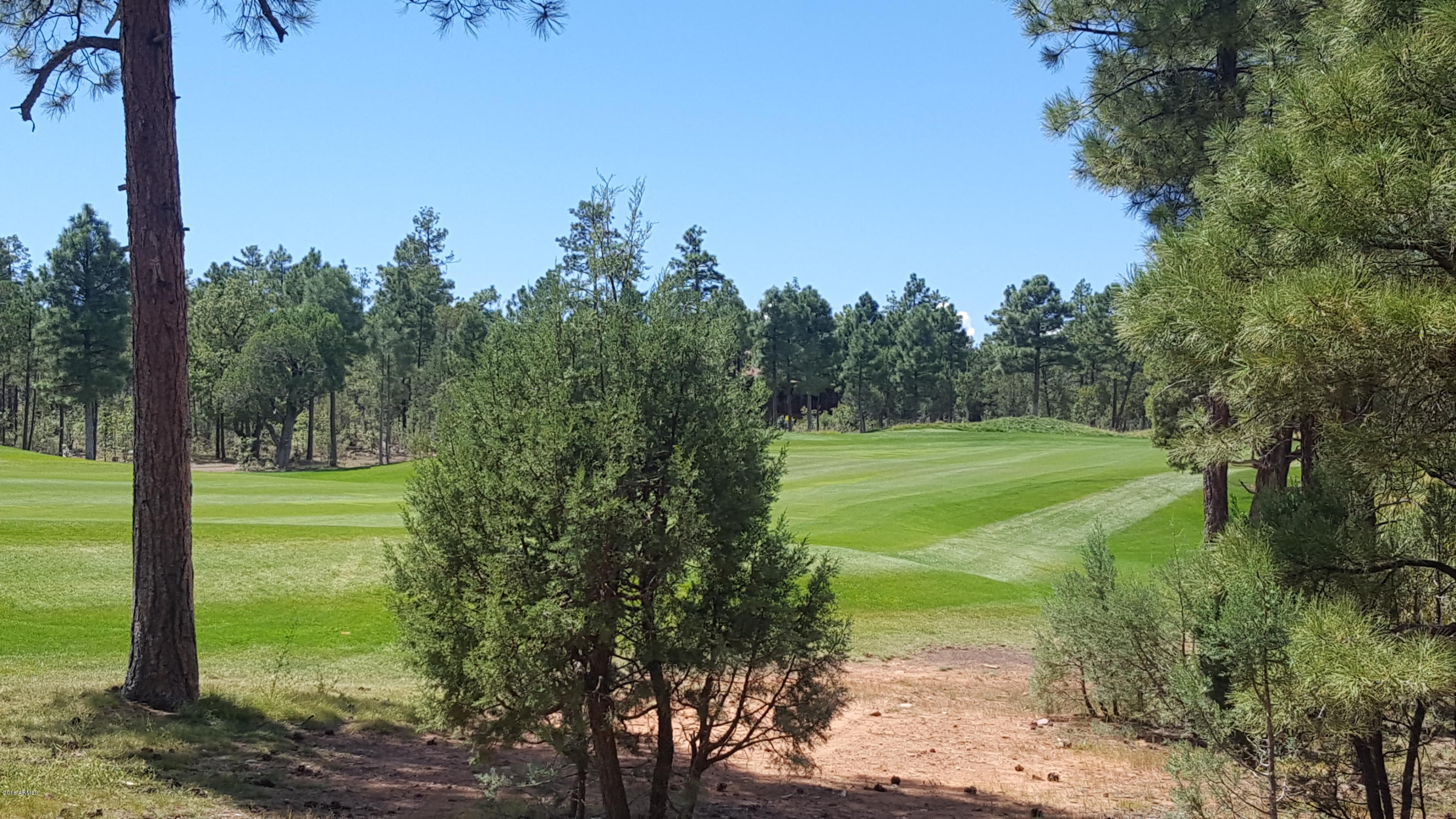 4341 West Falling Leaf Road, Unit 316 Show Low, AZ 85901 - Photo 3 of 14 Back of Lot