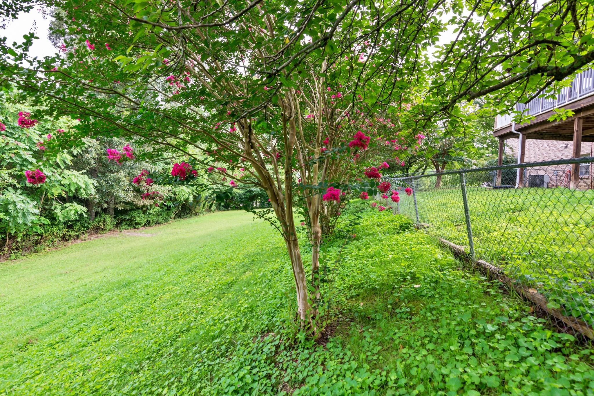 234 Hobbs Ridge Road Dunlap, TN 37327 - Photo 50 of 62 Crepe Myrtles