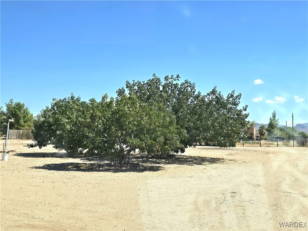 508 South Santa Cruz Road Golden Valley, AZ 86413 - Photo 10 of 76 Yard