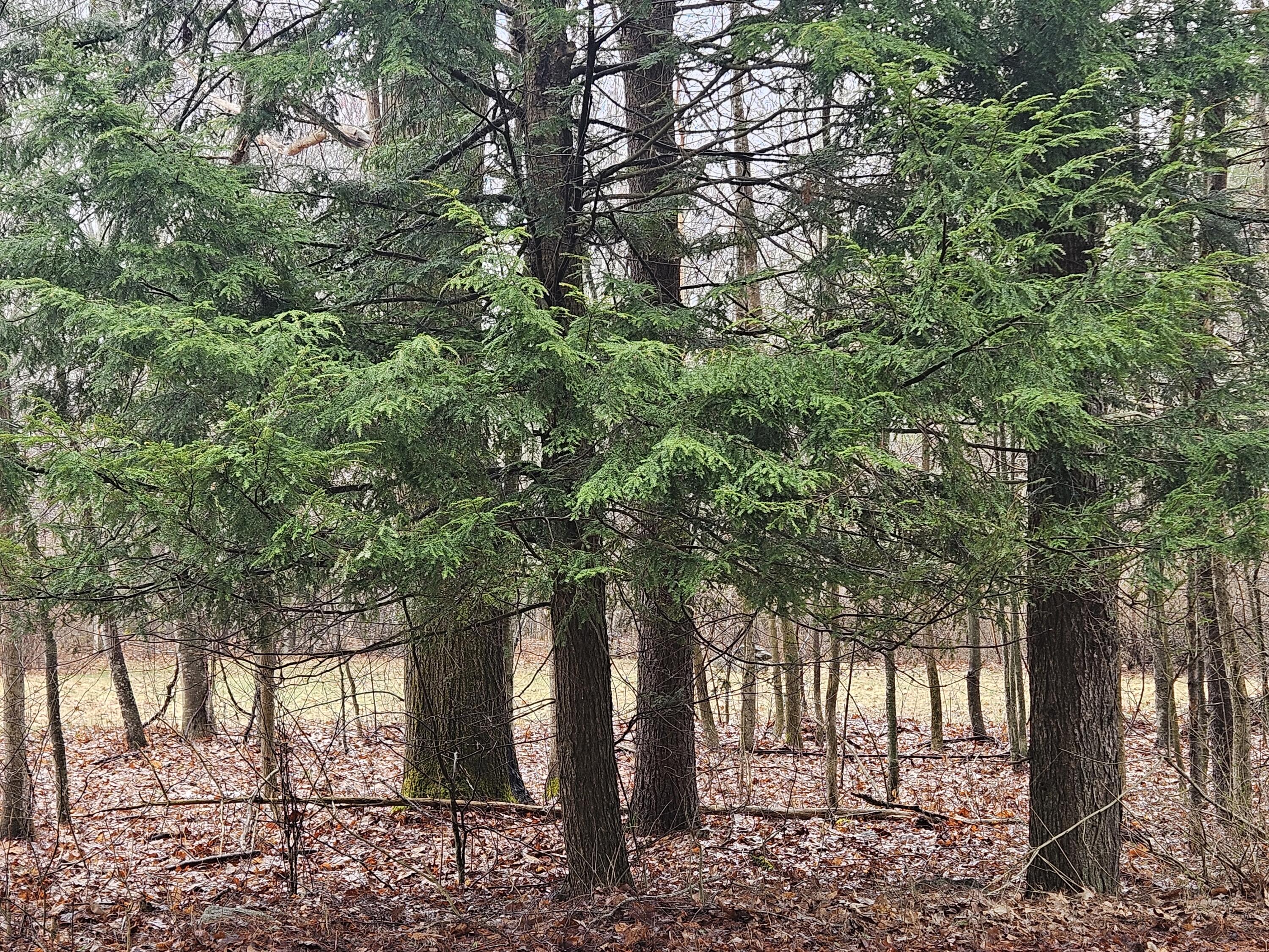 9 Mudget Hill Road Vassalboro, ME 04989 - Photo 3 of 11 Land